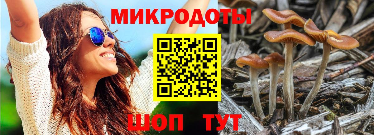 Псилоцибиновые грибы прущие грибы  Вход с VPN  Урюпинск  Галлюциногенные грибы мухоморы 